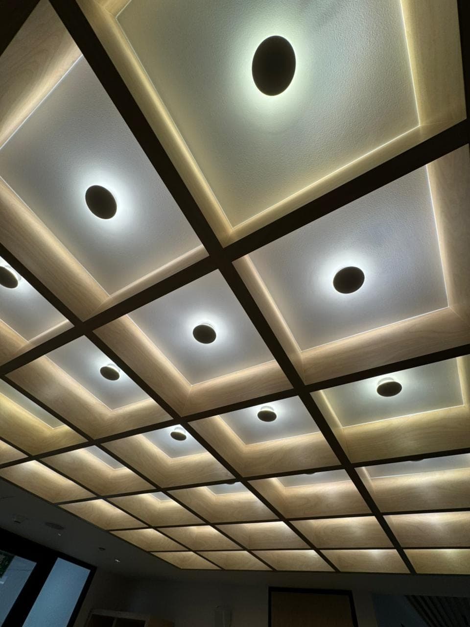 Plafón artesonado con downlights circulares en halo