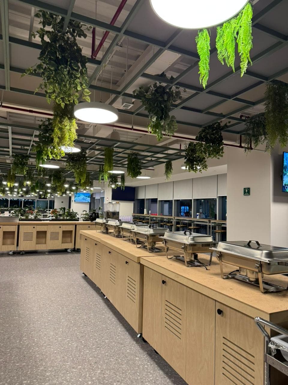 Cafetería con plantas colgantes en retícula metálica